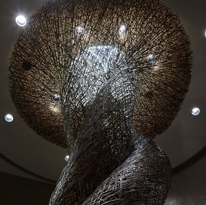 180411-225.jpg